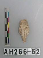 藏品(帶鋌打製石鏃)的圖片